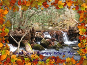 Great Smoky Mountains National Park