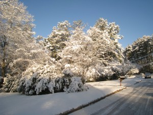 Atlanta Snow 2010