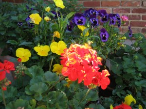 Southeastern Flower Show February 25-26, 2011