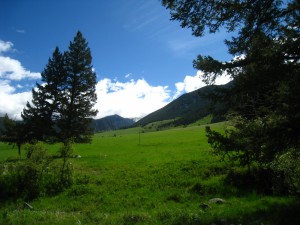 Yellowstone National Park