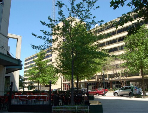 Gorgeous Midtown Loft For Lease – Peachtree Lofts Midtown Atlanta