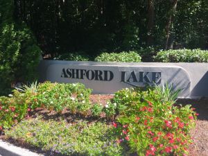 Ashford Lake Townhomes Brookhave