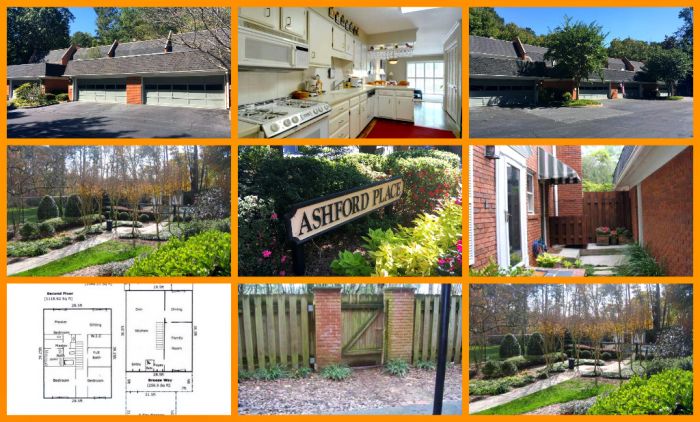 Homes For Sale Ashford Place Brookhaven