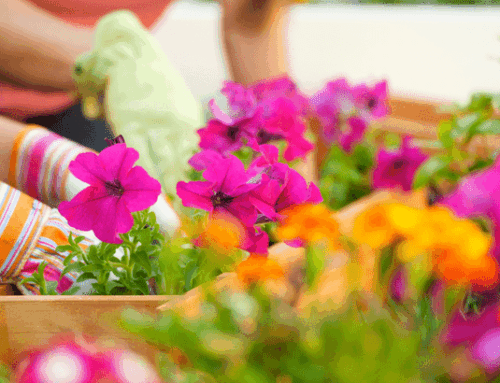  4 Things To Expect from the Spring Housing Market