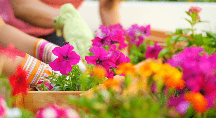 4-Things-To-Expect-From-the-Spring-Housing-Market-original 4 Things To Expect from the Spring Housing Market